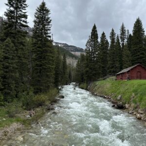 Red Cabin River Glass (Portrait)