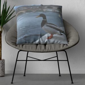 Verona Duck Pillow